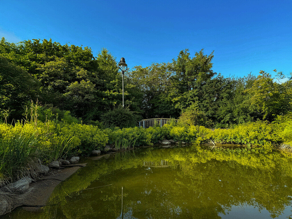 Weiher